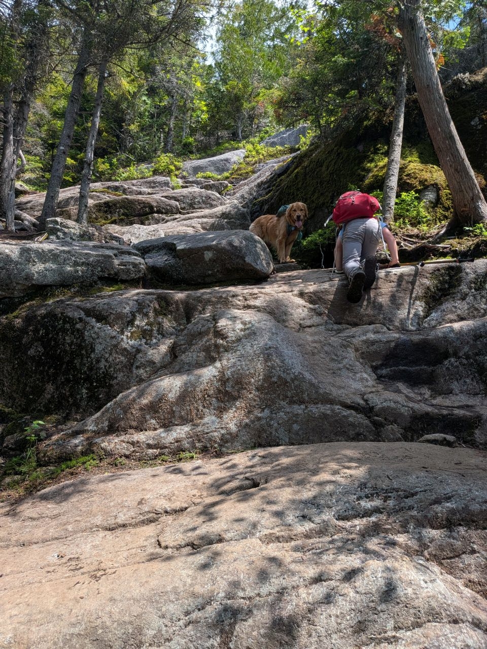 more slabs