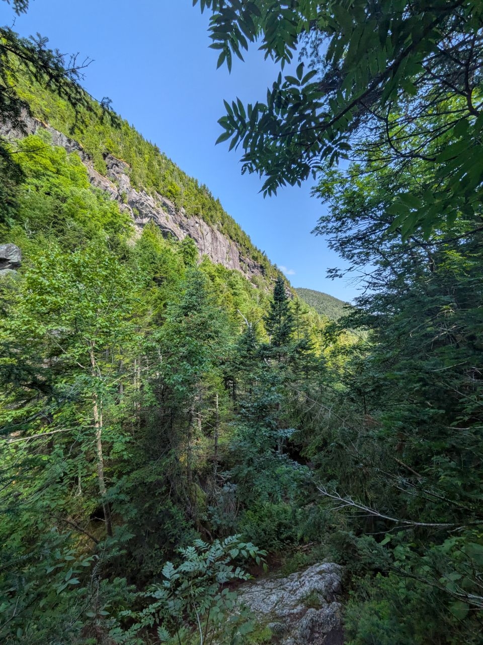 ready to descend again