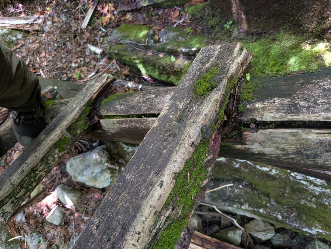 bad wood