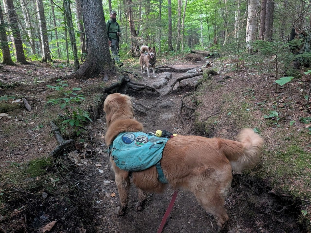 On the trail with Nick and Stella