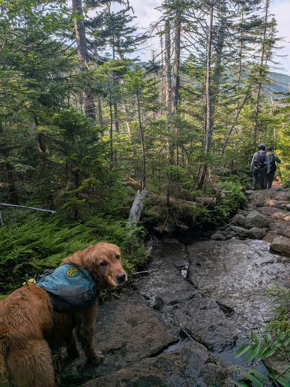 Rocky descent