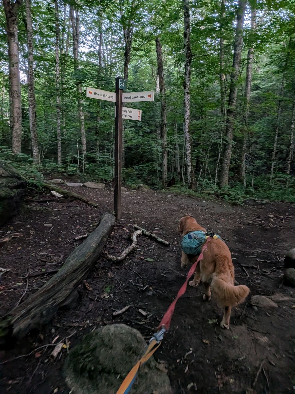 Indian Pass junction on Adirondack Mountain Club territory
