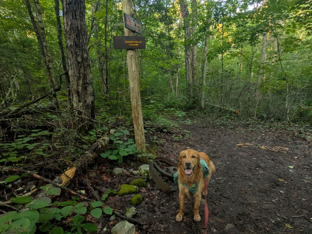 junction to rocky falls