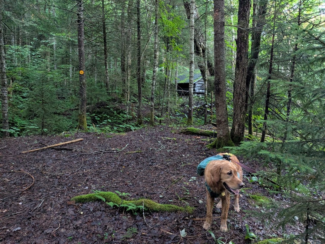 no camping in this perfect camping spot