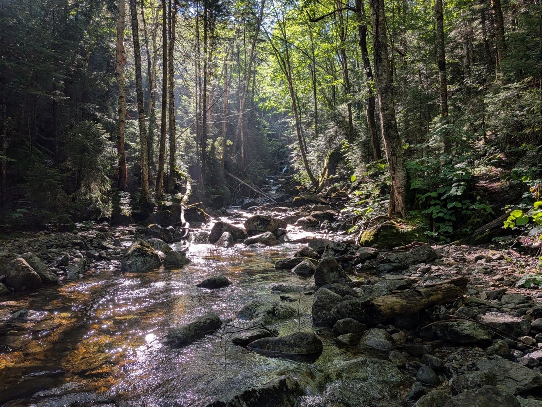 water in the dim valley