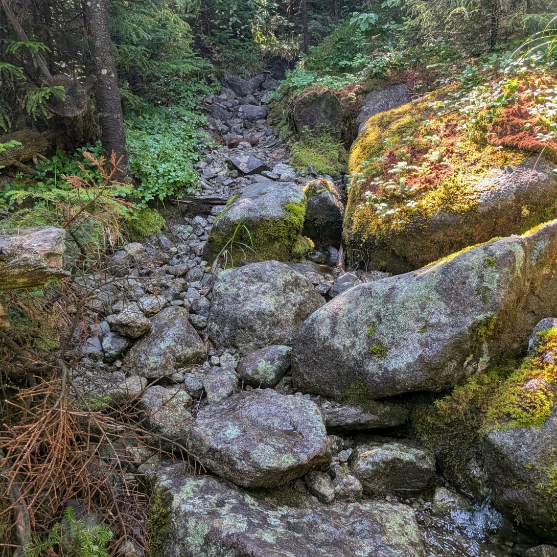 gravely path