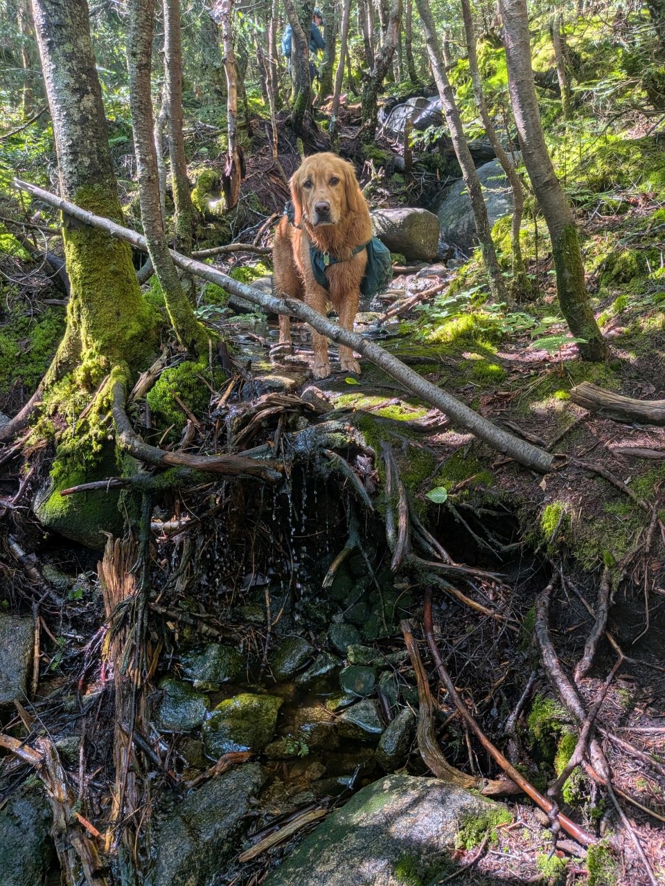 sunny climbing marshall