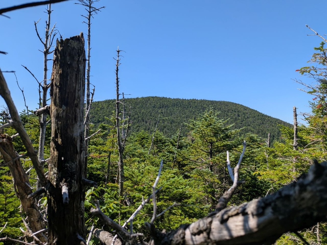 from the false summit