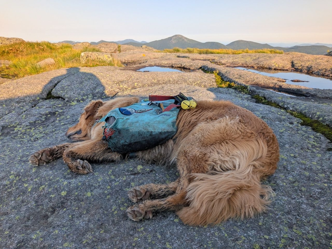 napping