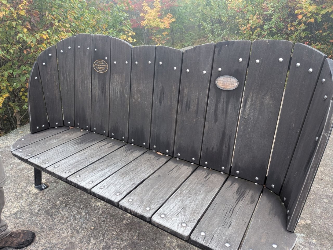 with a bench