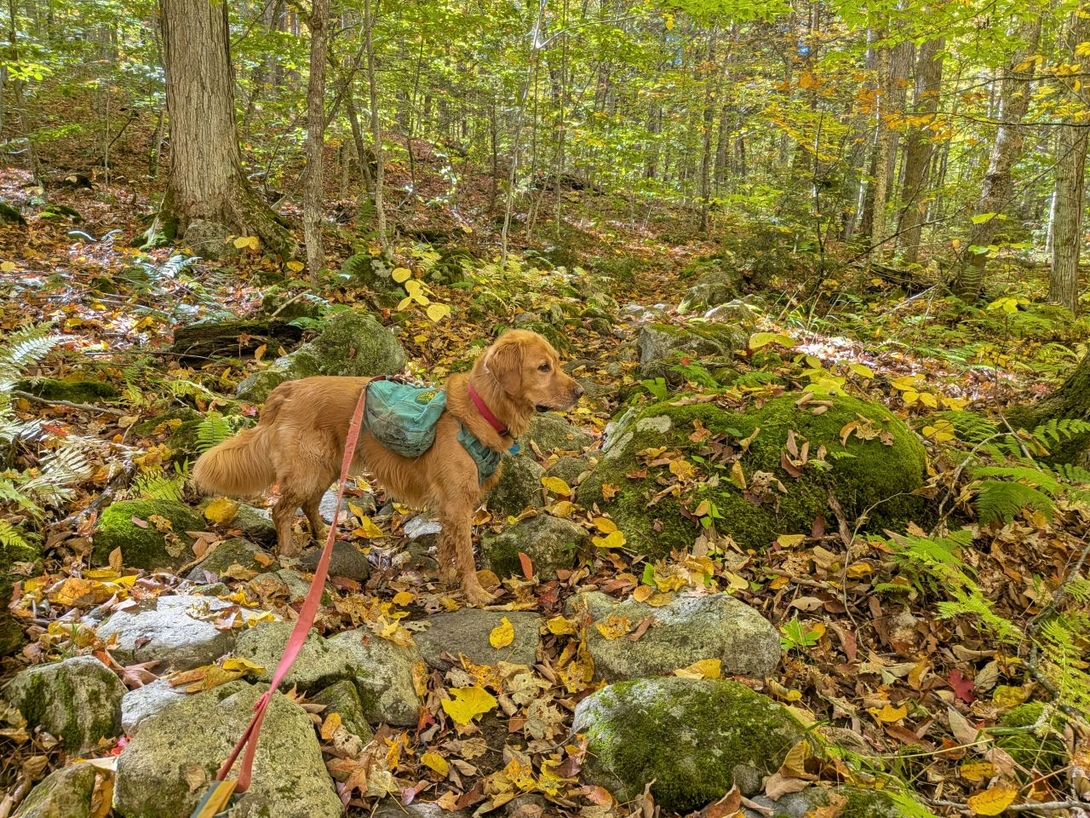 beautiful early fall
