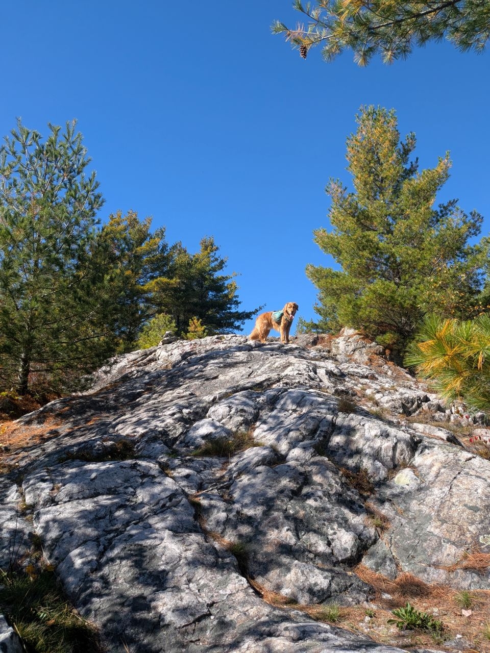 One more big climb!