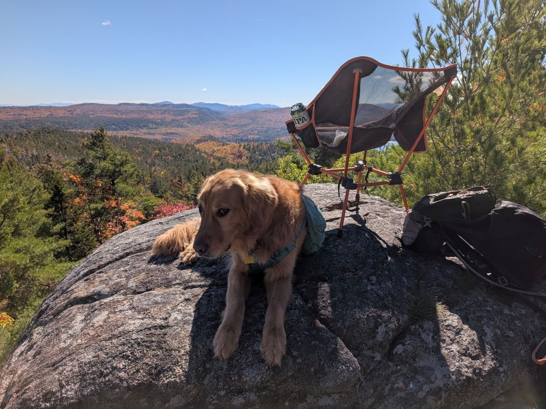 The summit