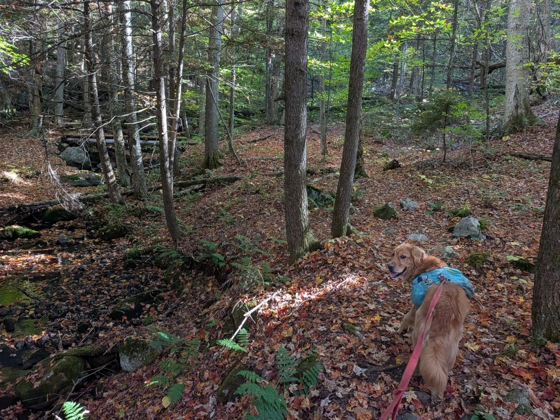 Down trail