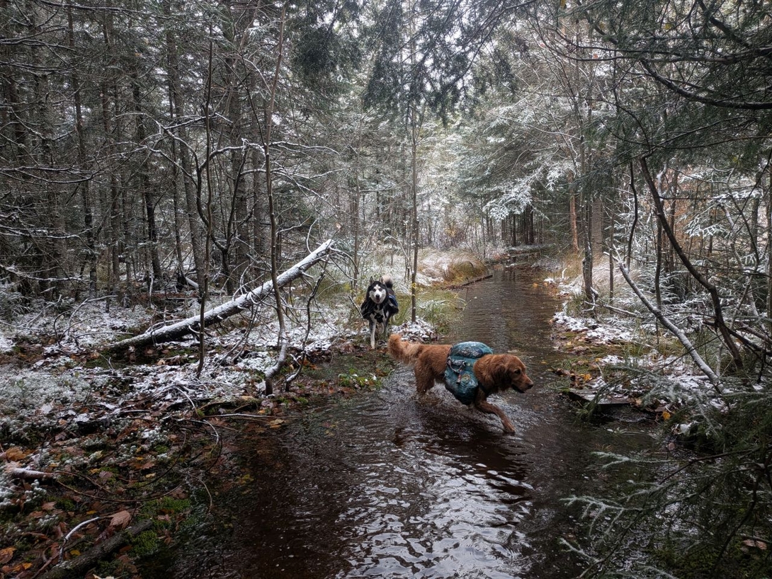 "Trail"