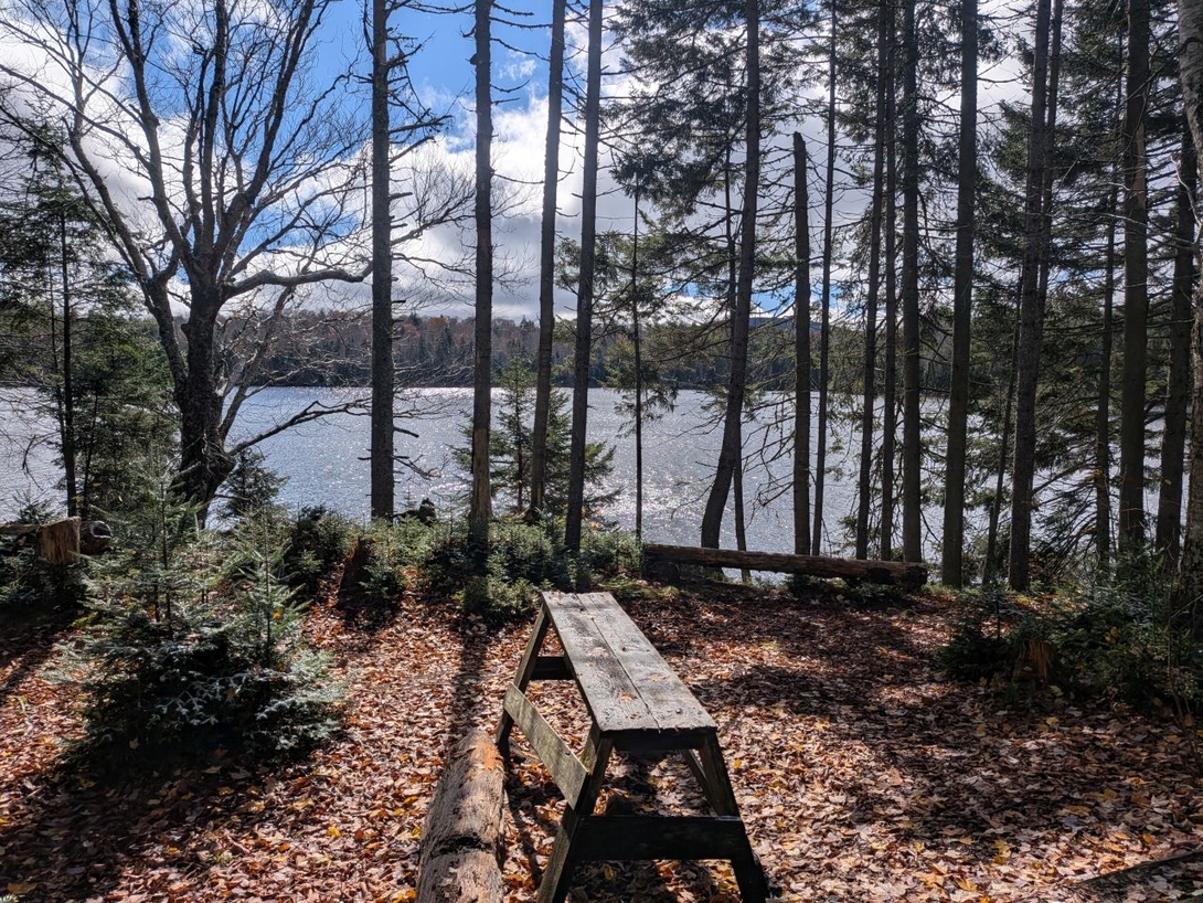 Sampson Lake Lean-to  view