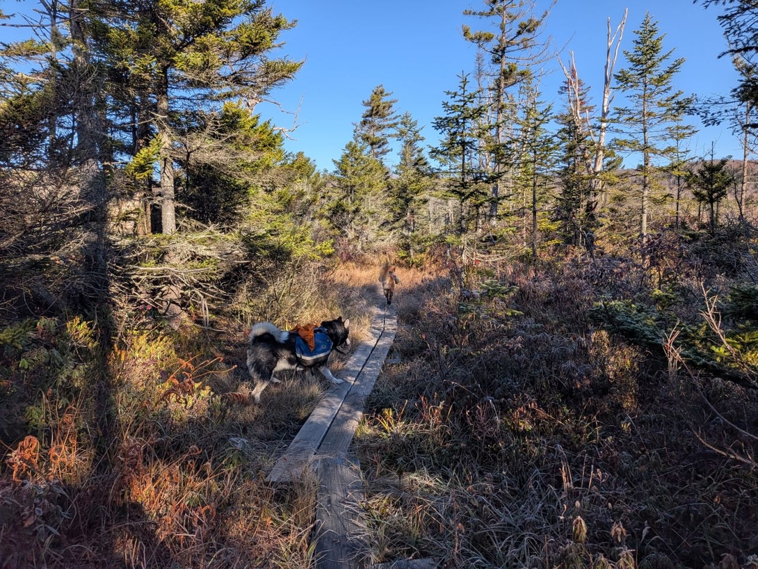 boardwalks