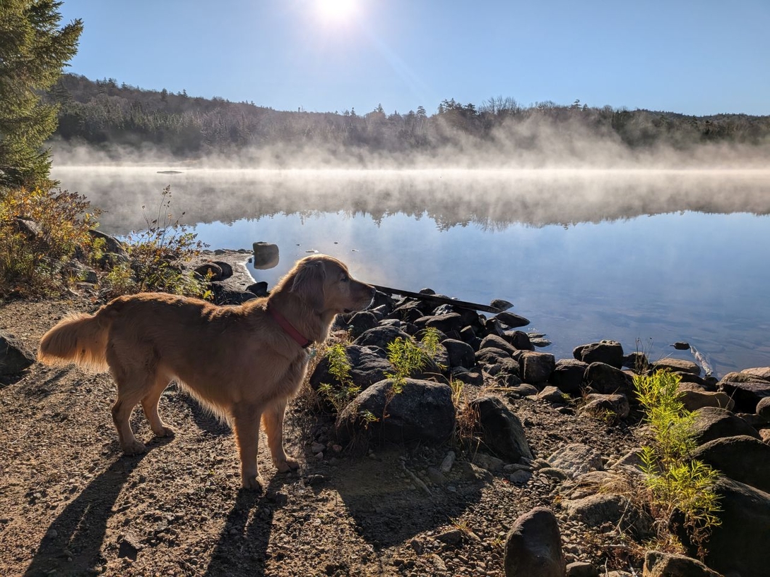 Morning by the lake