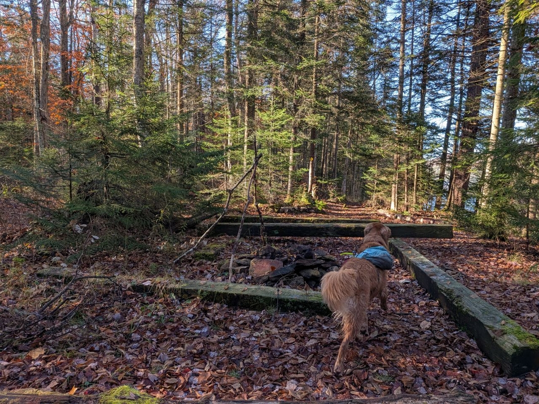campsite