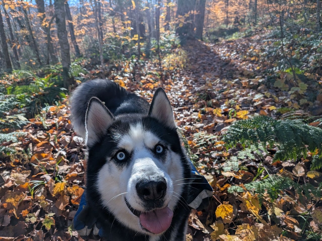 Hi!