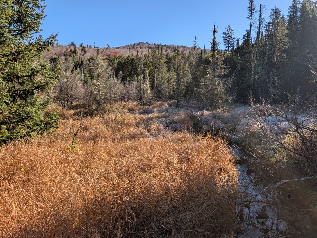 open space