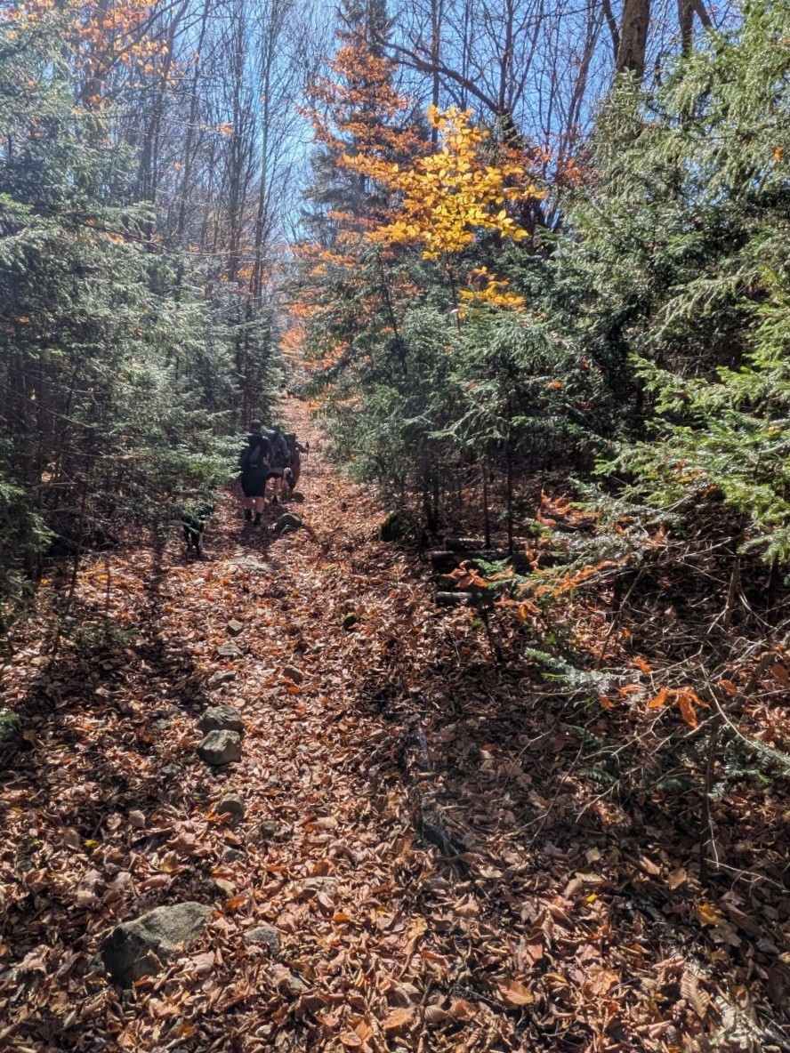 downhill