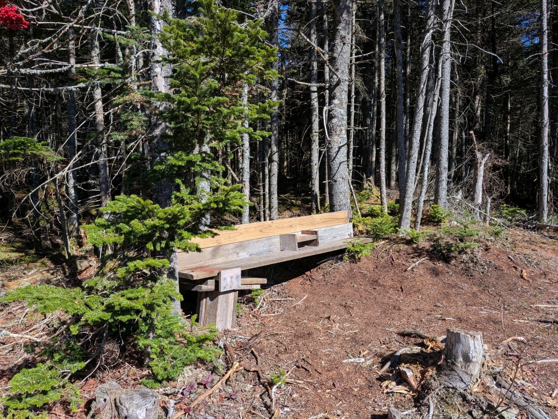 bench
