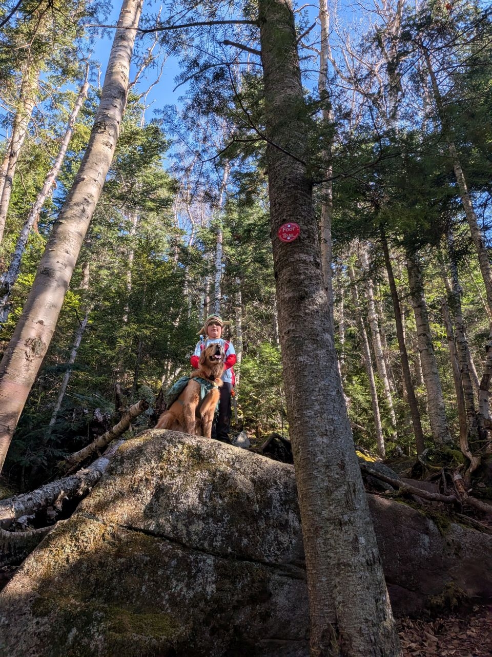 Another pose on a rock